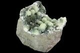 Prehnite Crystal Cluster on Matrix - Connecticut #90967-2